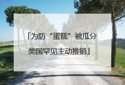 为防“蛋糕”被瓜分 美国罕见主动推销