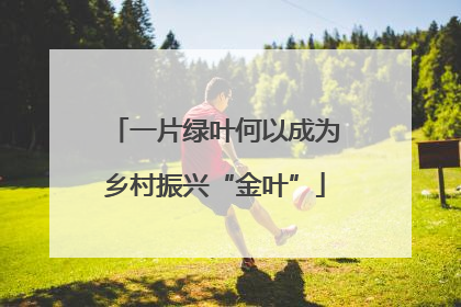一片绿叶何以成为乡村振兴“金叶”