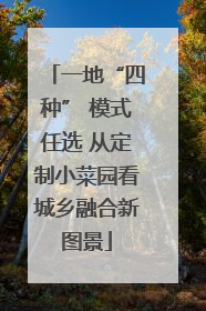 一地“四种” 模式任选 从定制小菜园看城乡融合新图景