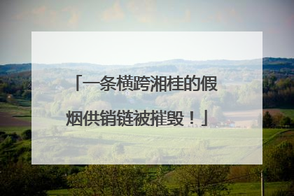 一条横跨湘桂的假烟供销链被摧毁！