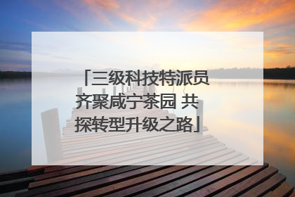 三级科技特派员齐聚咸宁茶园 共探转型升级之路