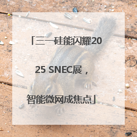 三一硅能闪耀2025 SNEC展，智能微网成焦点