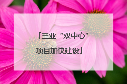 三亚“双中心”项目加快建设