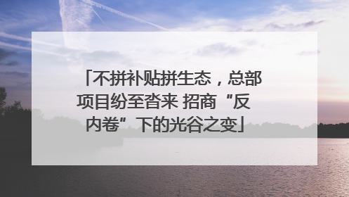 不拼补贴拼生态，总部项目纷至沓来 招商“反内卷”下的光谷之变
