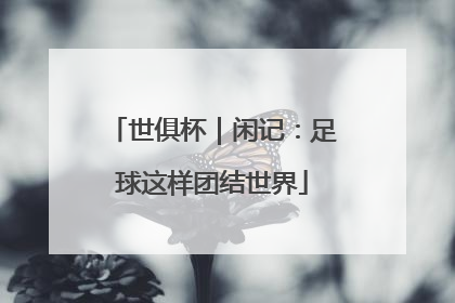 世俱杯｜闲记：足球这样团结世界