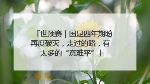 世预赛｜国足四年期盼再度破灭，走过的路，有太多的“意难平”