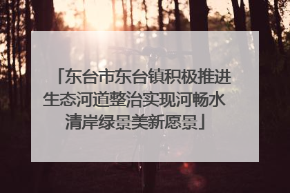 东台市东台镇积极推进生态河道整治实现河畅水清岸绿景美新愿景
