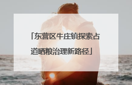 东营区牛庄镇探索占道晒粮治理新路径