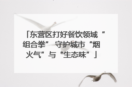 东营区打好餐饮领域“组合拳” 守护城市“烟火气”与“生态味”