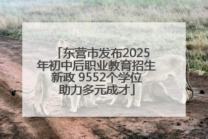 东营市发布2025年初中后职业教育招生新政 9552个学位助力多元成才