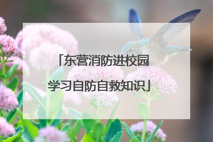东营消防进校园 学习自防自救知识