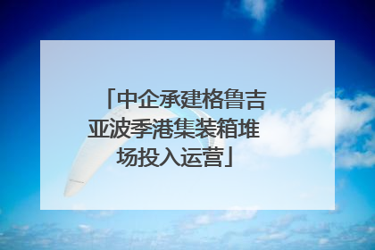 中企承建格鲁吉亚波季港集装箱堆场投入运营