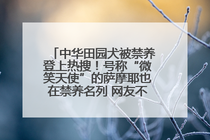 中华田园犬被禁养登上热搜！号称“微笑天使”的萨摩耶也在禁养名列 网友不解西安多部门回应