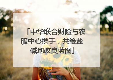 中华联合财险与农服中心携手，共绘盐碱地改良蓝图