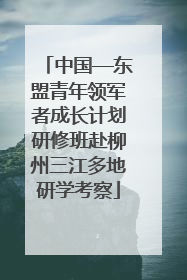 中国—东盟青年领军者成长计划研修班赴柳州三江多地研学考察