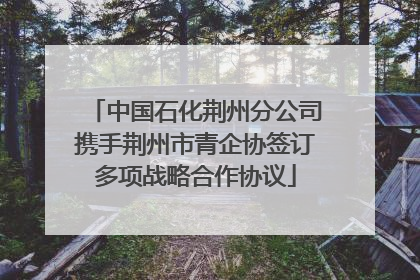 中国石化荆州分公司携手荆州市青企协签订多项战略合作协议