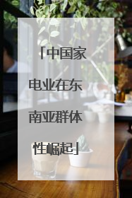 中国家电业在东南亚群体性崛起