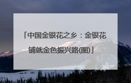 中国金银花之乡：金银花铺就金色振兴路(图)