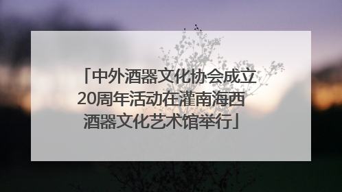 中外酒器文化协会成立20周年活动在灌南海西酒器文化艺术馆举行