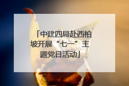 中建四局赴西柏坡开展“七一”主题党日活动