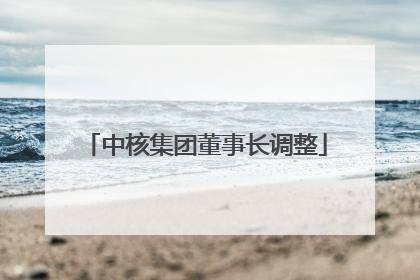 中核集团董事长调整