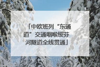 中欧班列“东通道”交通咽喉绥芬河隧道全线贯通