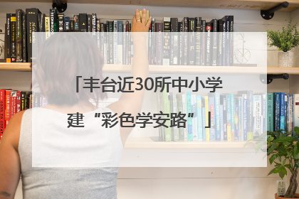 丰台近30所中小学建“彩色学安路”