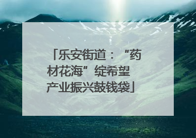 乐安街道：“药材花海”绽希望 产业振兴鼓钱袋