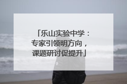 乐山实验中学：专家引领明方向，课题研讨促提升