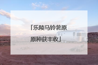 乐陵马铃薯原原种获丰收