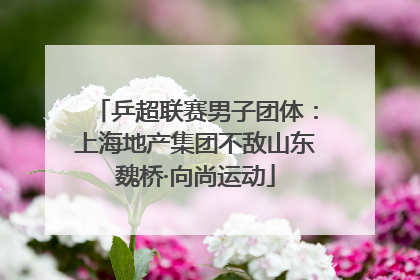 乒超联赛男子团体：上海地产集团不敌山东魏桥·向尚运动