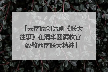 云南原创话剧《联大往事》在清华圆满收官 致敬西南联大精神