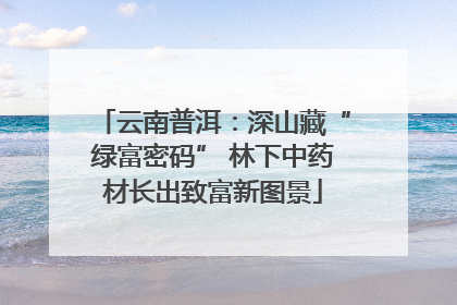 云南普洱：深山藏“绿富密码” 林下中药材长出致富新图景