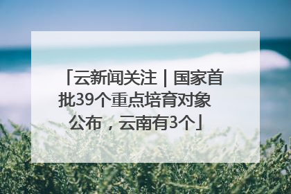 云新闻关注｜国家首批39个重点培育对象公布，云南有3个