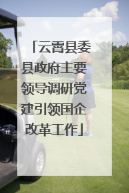 云霄县委县政府主要领导调研党建引领国企改革工作