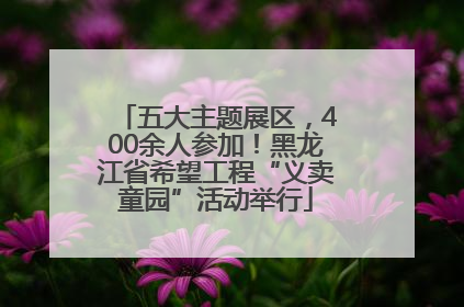 五大主题展区，400余人参加！黑龙江省希望工程“义卖童园”活动举行