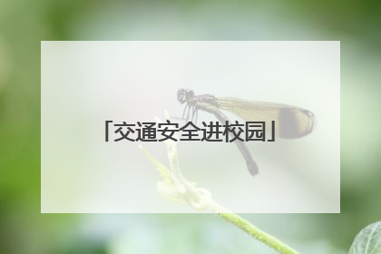 交通安全进校园