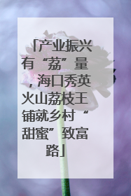 产业振兴有“荔”量，海口秀英火山荔枝王铺就乡村“甜蜜”致富路