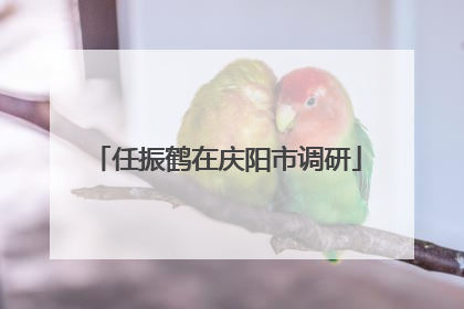 任振鹤在庆阳市调研
