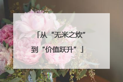 从“无米之炊”到“价值跃升”