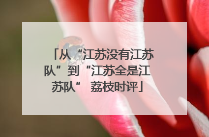 从“江苏没有江苏队”到“江苏全是江苏队” 荔枝时评