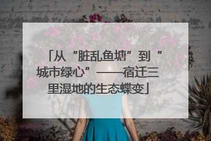 从“脏乱鱼塘”到“城市绿心”——宿迁三里湿地的生态蝶变