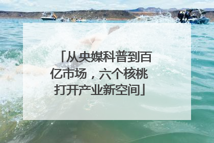 从央媒科普到百亿市场，六个核桃打开产业新空间