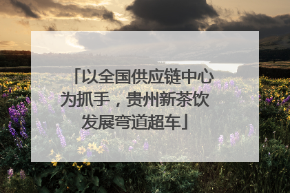 以全国供应链中心为抓手，贵州新茶饮发展弯道超车
