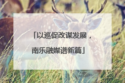以巡促改谋发展，南乐融媒谱新篇