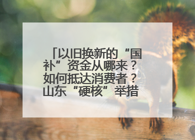 以旧换新的“国补”资金从哪来？如何抵达消费者？山东“硬核”举措有这些→