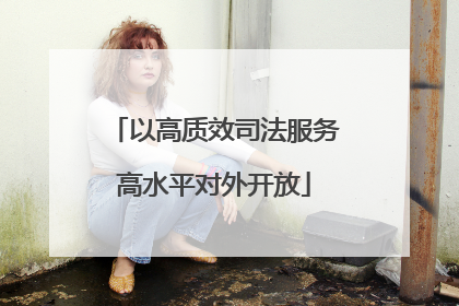 以高质效司法服务高水平对外开放