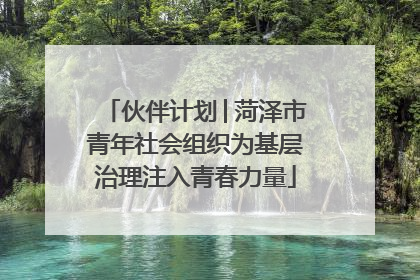 伙伴计划│菏泽市青年社会组织为基层治理注入青春力量