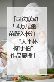 司法联动！4万尾鱼苗跃入长江｜“天平杯·随手拍”作品展播