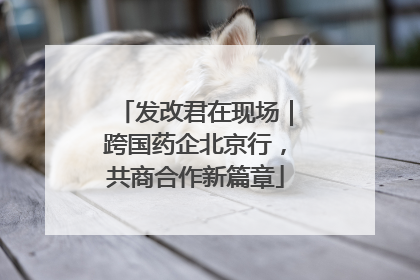 发改君在现场｜跨国药企北京行，共商合作新篇章